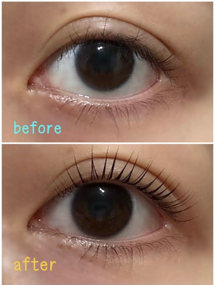 を使ったクチコミ(2枚目)