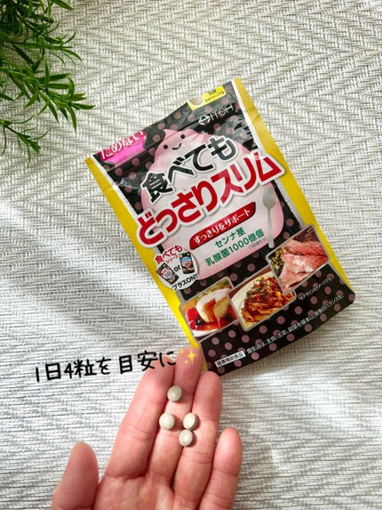 食べてもどっさりスリム/井藤漢方製薬/ボディサプリメントを使ったクチコミ(4枚目)