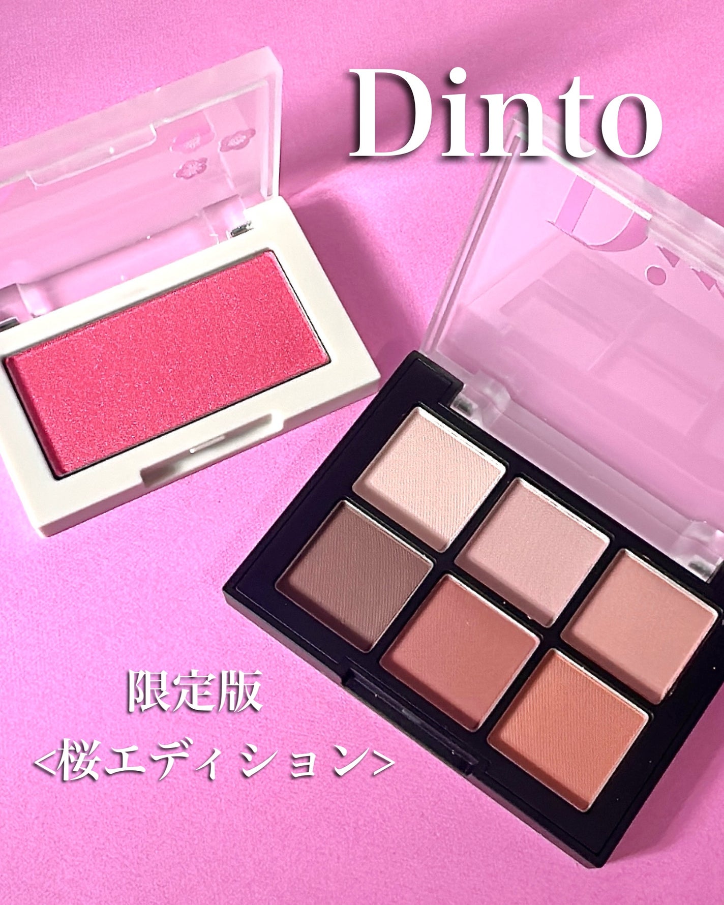 ブラーフィニシュシャドウパレット/Dinto/アイシャドウパレットを使ったクチコミ(1枚目)