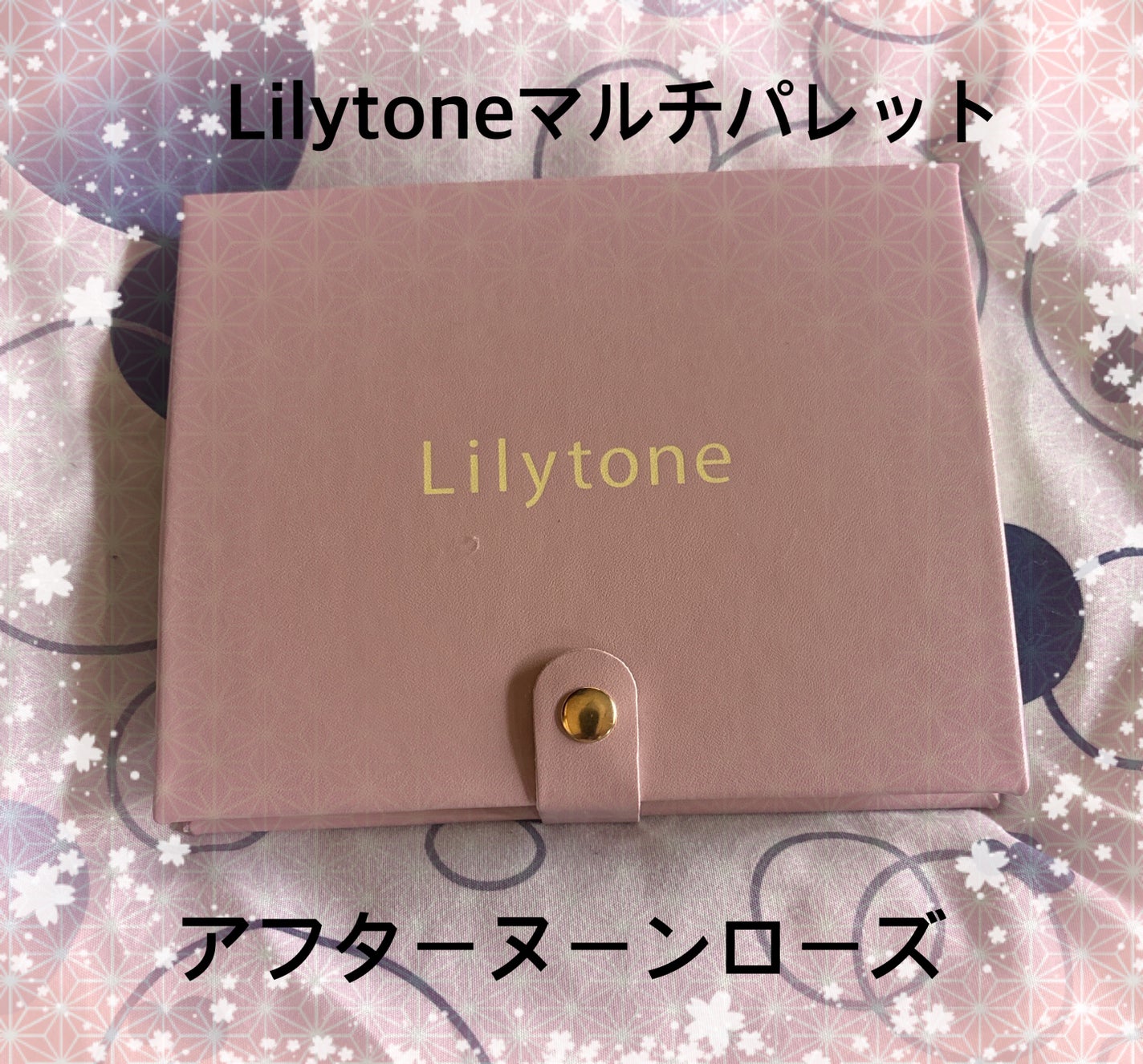 マルチパレット/Lilytone/アイシャドウパレットを使ったクチコミ(1枚目)