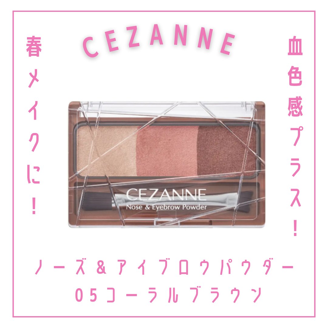 ノーズ＆アイブロウパウダー/CEZANNE/パウダーアイブロウを使ったクチコミ（1枚目）
