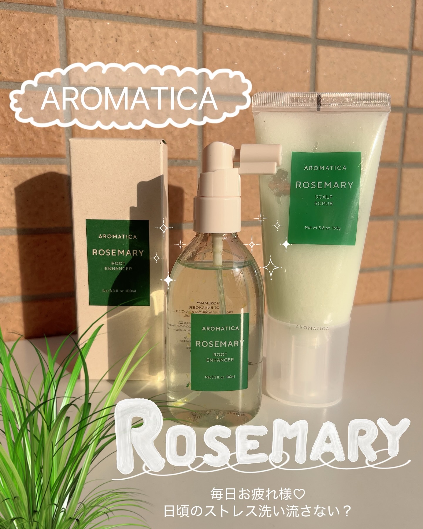 ローズマリー スカルプ スクラブ/AROMATICA/ヘッドスクラブを使ったクチコミ（1枚目）