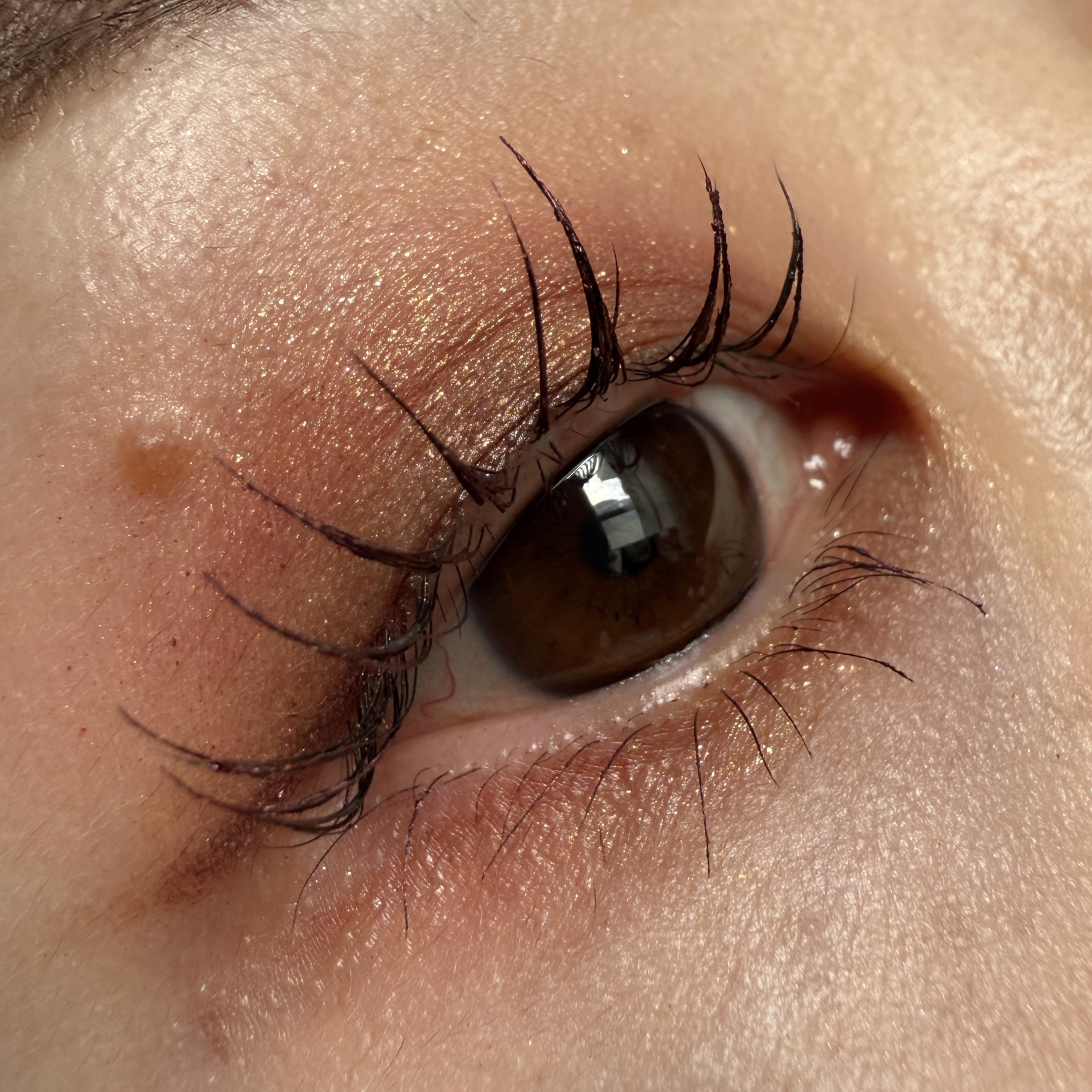 ニュアンスマスカラ/uneven/マスカラを使ったクチコミ（1枚目）