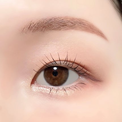 シャドウパレット/dasique/アイシャドウパレットを使ったクチコミ(2枚目)