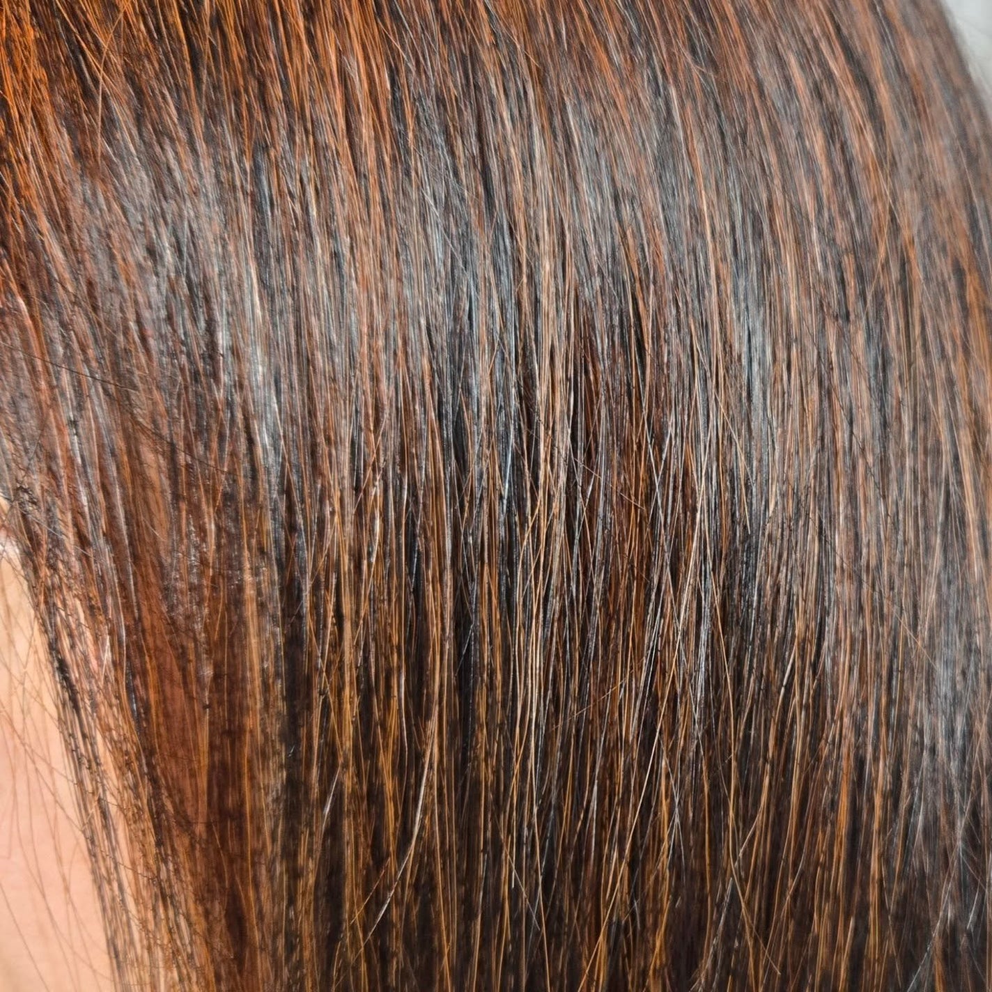 TSUBAKI プレミアムEX ダメージケア&リペア シャンプー/コンディショナートリートメント/TSUBAKI/シャンプー・コンディショナーを使ったクチコミ(7枚目)