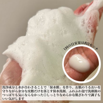 スキンコンディショニング洗顔/ファンケル/洗顔フォームを使ったクチコミ(2枚目)