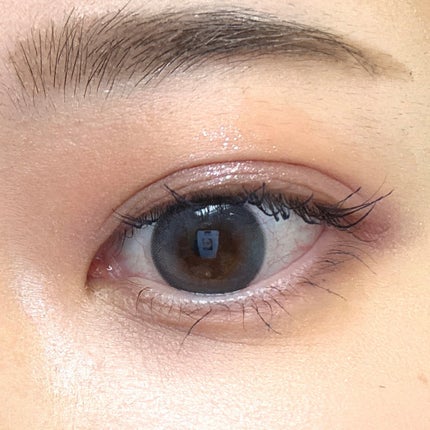 あざとめ 1day ラグドール/azatome/ワンデー(1DAY)カラコンの画像