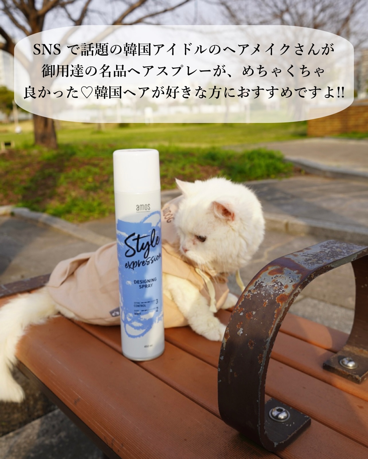 スタイルエクスプレッション デザイニングスプレー/amos PROFESSIONAL/ヘアケア・スタイリングを使ったクチコミ（3枚目）