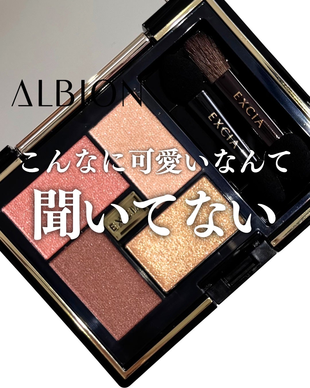 エクシア アイカラー ヴォロンテ/ALBION/アイシャドウパレットを使ったクチコミ(1枚目)