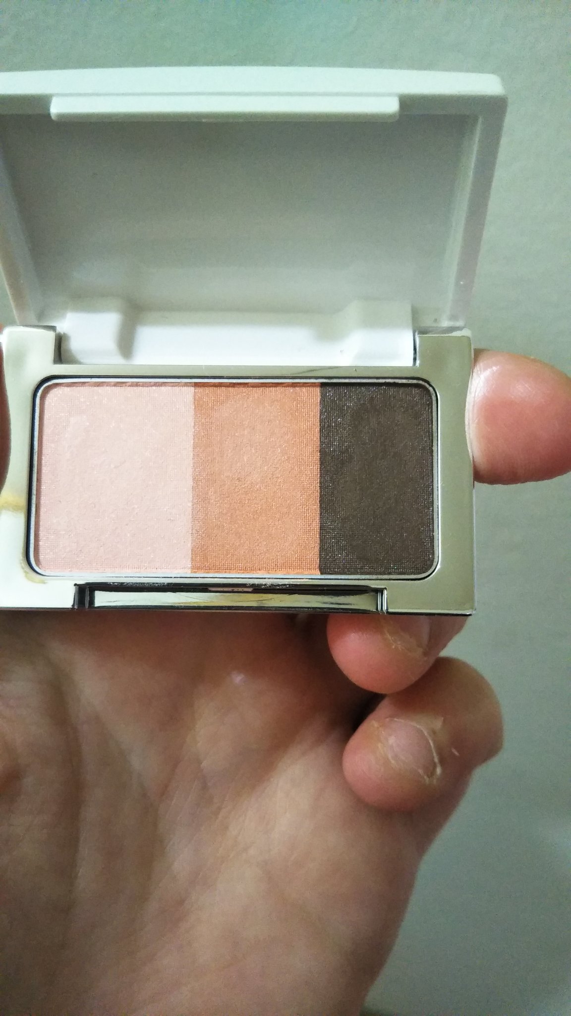 フェイスカラー アイシャドウ/ACSEINE/アイシャドウパレットを使ったクチコミ（1枚目）