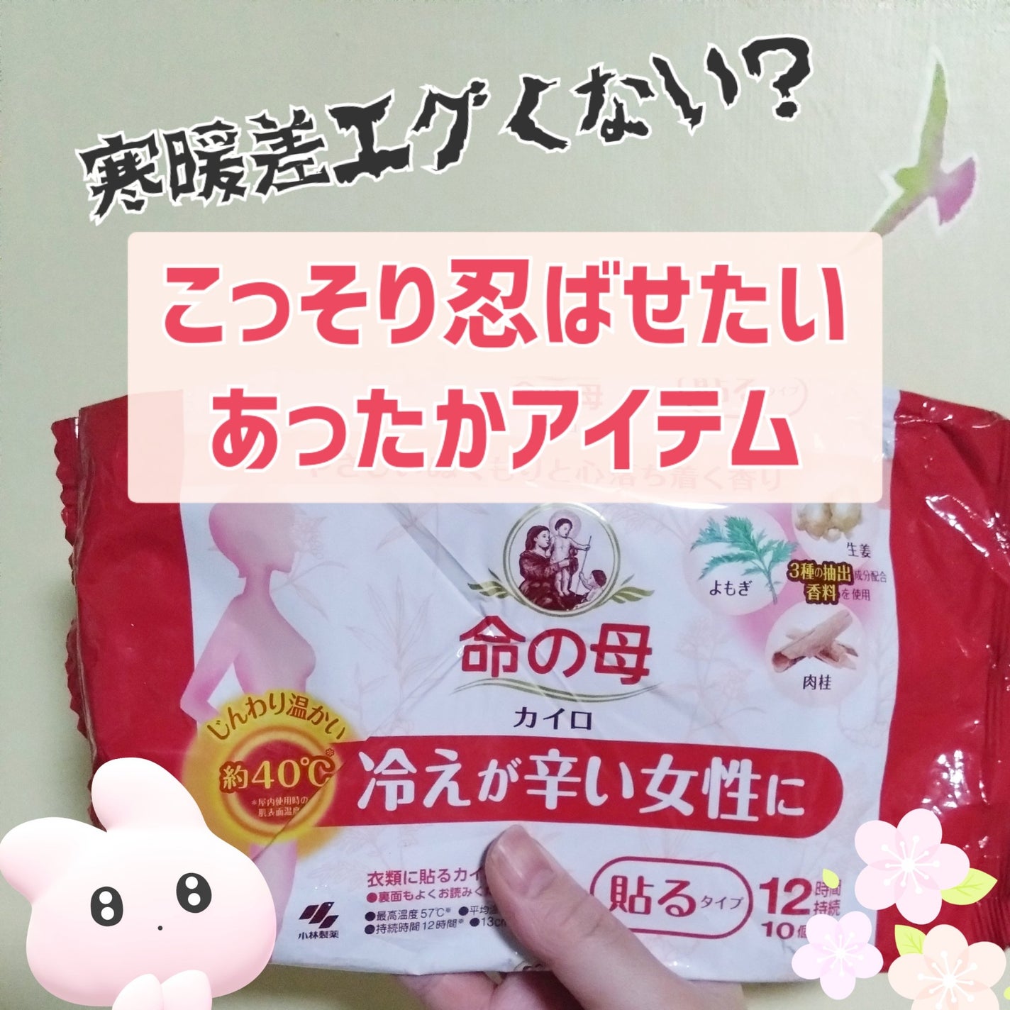 命の母 貼るタイプカイロ/桐灰化学/その他を使ったクチコミ(1枚目)