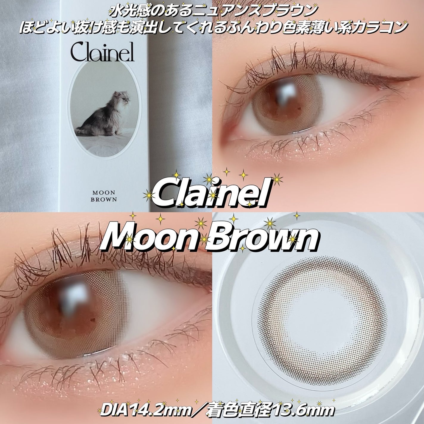 ベターミーアイパレット/2aN/マルチパレットを使ったクチコミ(3枚目)