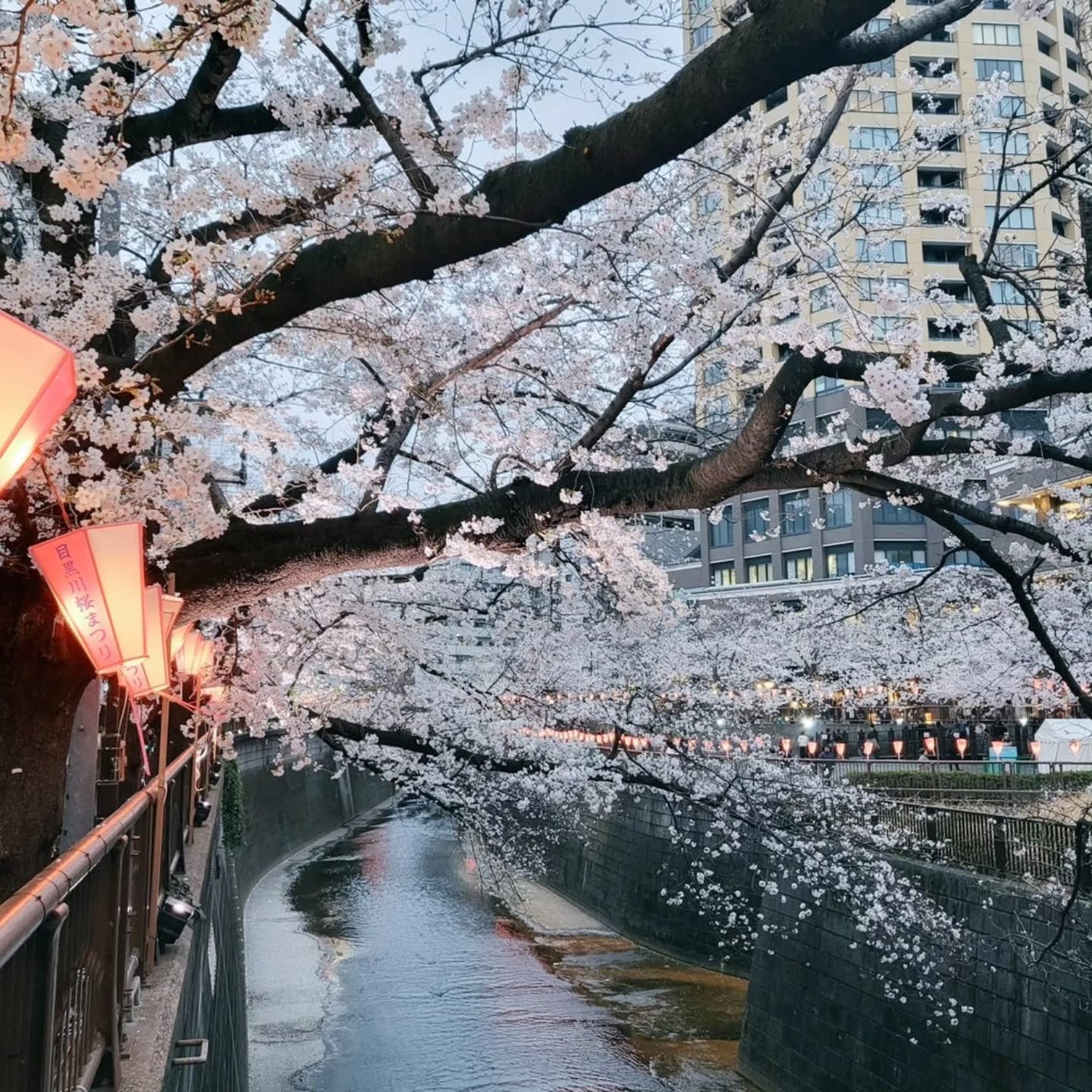 スリークマットクッション/MUZIGAE MANSION/クッションファンデーションを使ったクチコミ(8枚目)