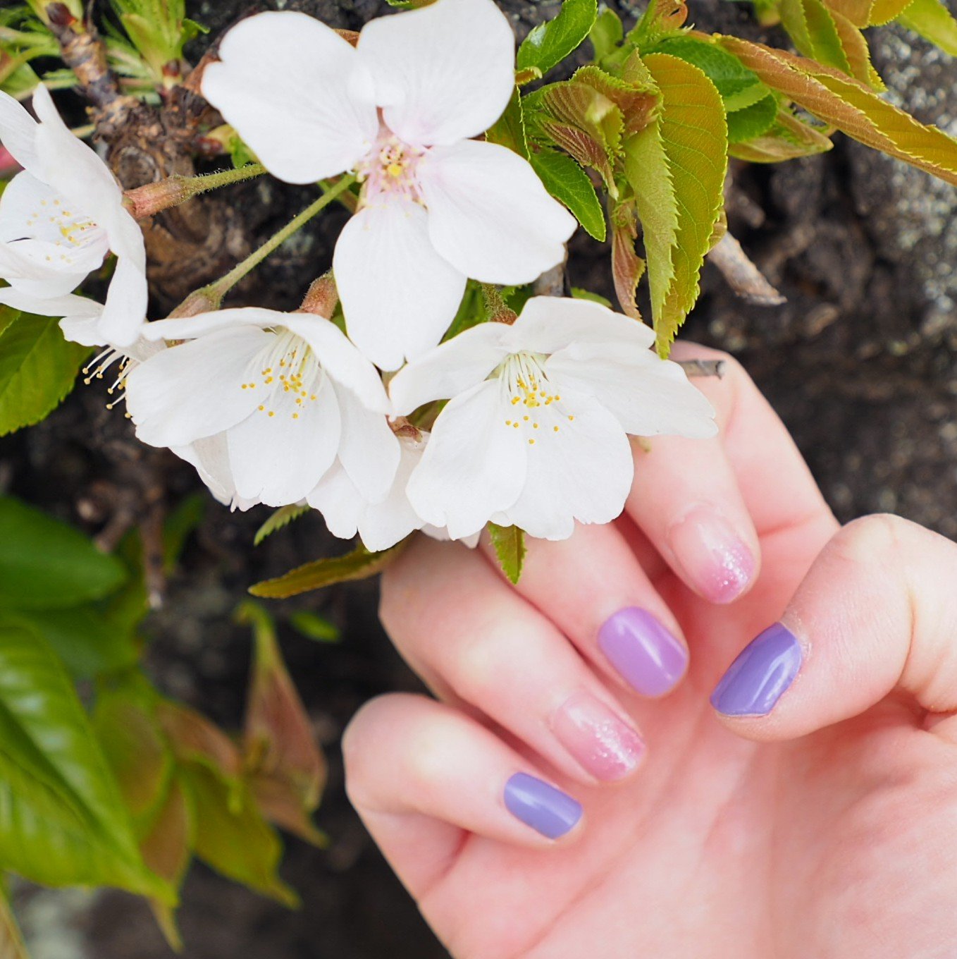 SUNNY RECIPE COLOR CHANGE GEL NAIL/SUNNY RECIPE/ネイルシールを使ったクチコミ（1枚目）