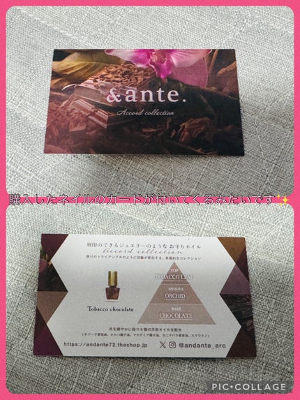 ネイルポリッシュ/&ante./マニキュアを使ったクチコミ(3枚目)