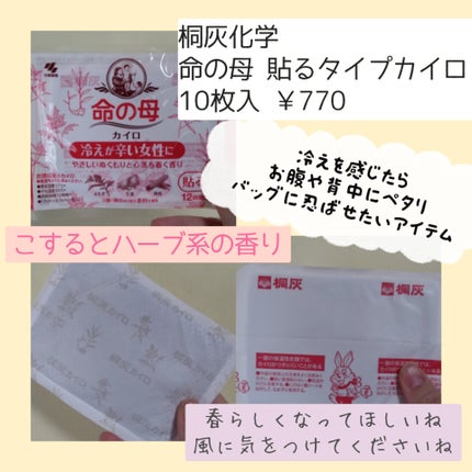 命の母 貼るタイプカイロ/桐灰化学/その他を使ったクチコミ(2枚目)