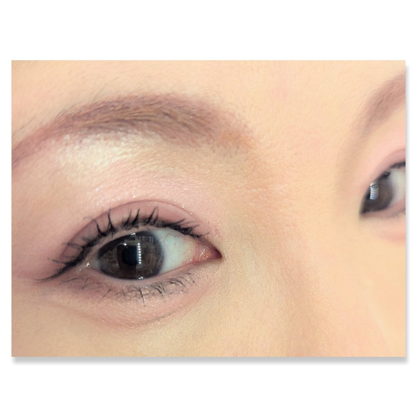 ミャオパウズアイシャドウパレット/MilleFée/アイシャドウパレットを使ったクチコミ(2枚目)