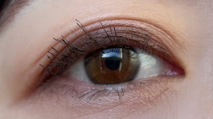 タルトレット フレッシュ ピックド アマゾニアンクレイ パレット/tarte/アイシャドウパレットを使ったクチコミ(4枚目)