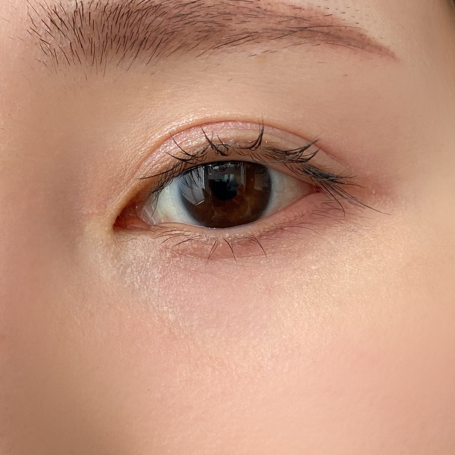 ウォンジョンヨ　カバーマスター ブライトニングコンシーラー/Wonjungyo/パレットコンシーラーを使ったクチコミ（2枚目）