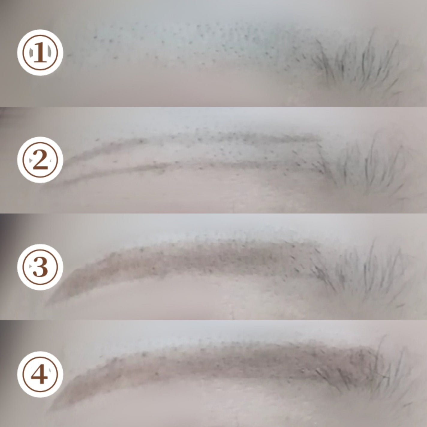 プリティー フェイスL 3本入/貝印/シェーバーを使ったクチコミ(1枚目)