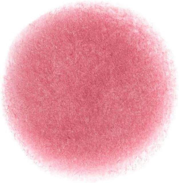 リップアンドチーク ブラーリープリンポット BS05 ウェイビー