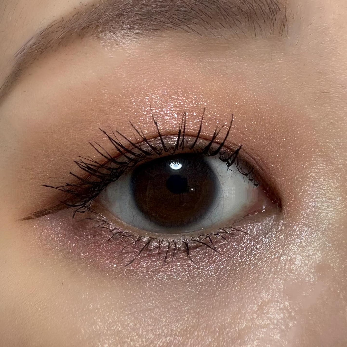 プティパレットアイズ/キャンメイク/パウダーアイシャドウを使ったクチコミ(3枚目)