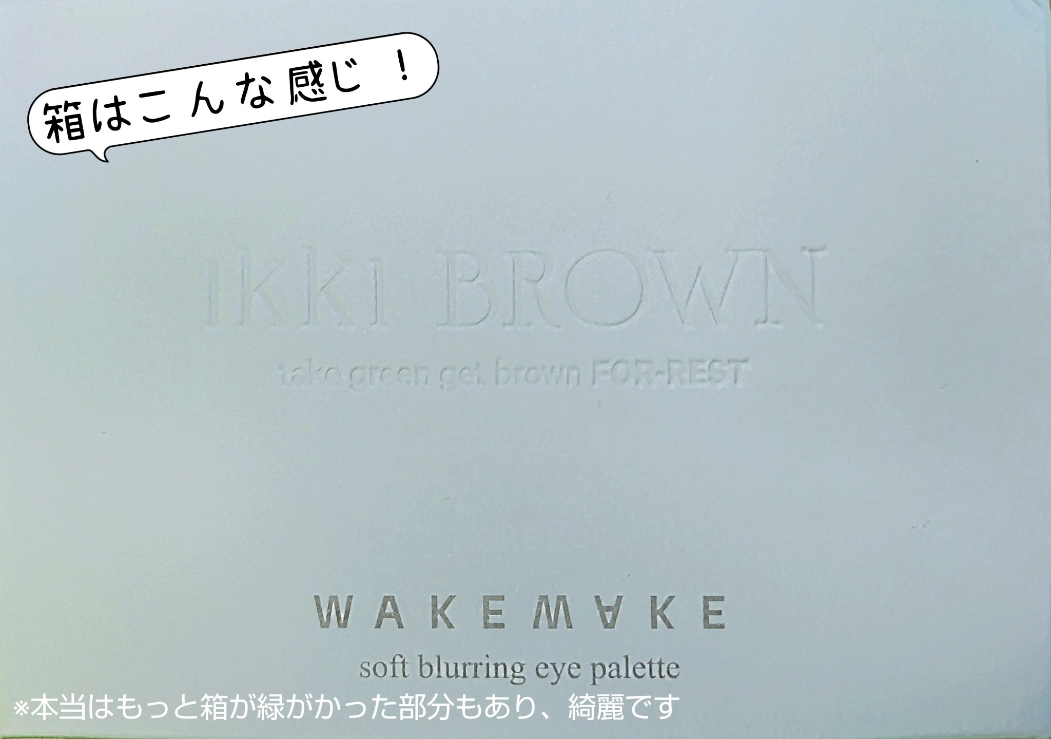 ソフトブラーリングアイパレット/wakemake/アイシャドウパレットを使ったクチコミ（2枚目）