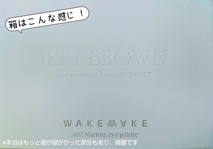 ソフトブラーリングアイパレット/wakemake/アイシャドウパレットを使ったクチコミ(2枚目)
