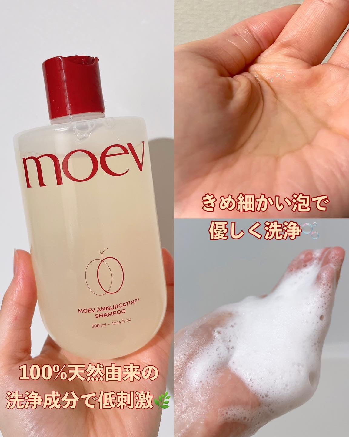 モエブ アヌカチン シャンプー/トリートメント/moev/市販シャンプーを使ったクチコミ(2枚目)
