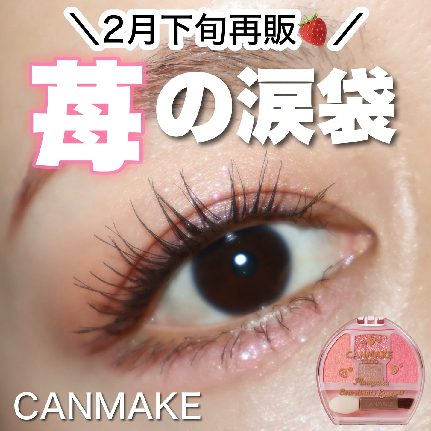 プランぷくコーデアイズ/キャンメイク/パウダーアイシャドウを使ったクチコミ（1枚目）