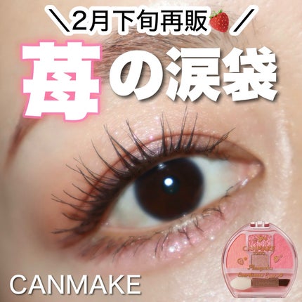 プランぷくコーデアイズ/キャンメイク/パウダーアイシャドウを使ったクチコミ(1枚目)