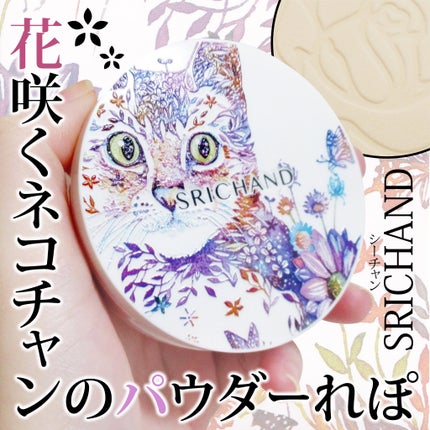 試してみた】ベア パーフェクト トランスルーセントコンパクト 試してみた】ベア パーフェクト トランスルーセントコンパクト