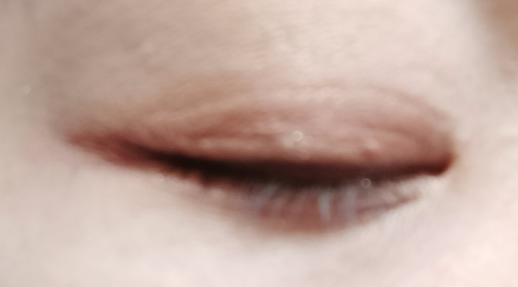 ケイト ポッピングシルエットシャドウ EX-1 ブラッドオレンジポップ(限定)/KATE/アイシャドウパレットを使ったクチコミ（2枚目）