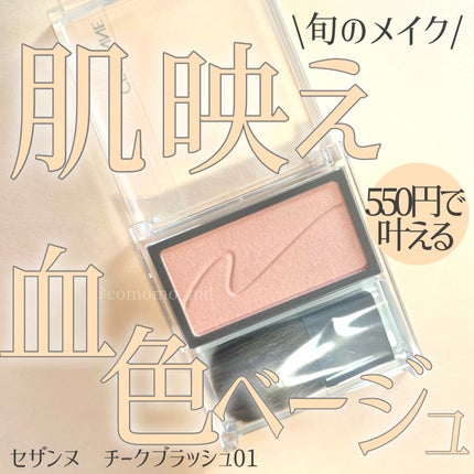 チークブラッシュ/CEZANNE/パウダーチークを使ったクチコミ(1枚目)