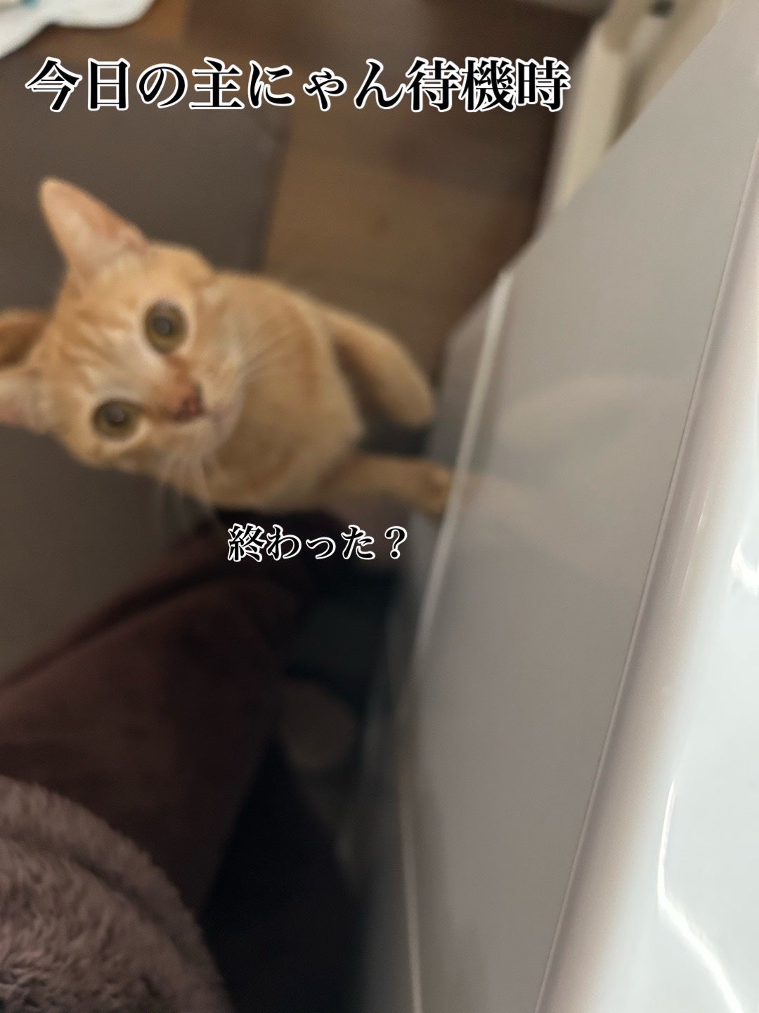 ðââ¬ã«ãããðŸ on LIPS ãäŒç€Ÿæ¥ãã眮ããŠãã£ãâŠèª°ããŸãã¬ãã£ãããã®æºã«çœ®ãããâŠã..ãïŒ3æç®ïŒ