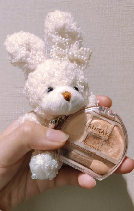 プランぷくコーデアイズ/キャンメイク/パウダーアイシャドウを使ったクチコミ(1枚目)