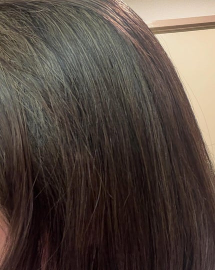 リポアシャンプー/リポアトリートメント/plus eau/市販シャンプーを使ったクチコミ(5枚目)