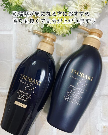 TSUBAKI プレミアムEX ダメージケア&リペア シャンプー/コンディショナートリートメント/TSUBAKI/シャンプー・コンディショナーを使ったクチコミ(1枚目)