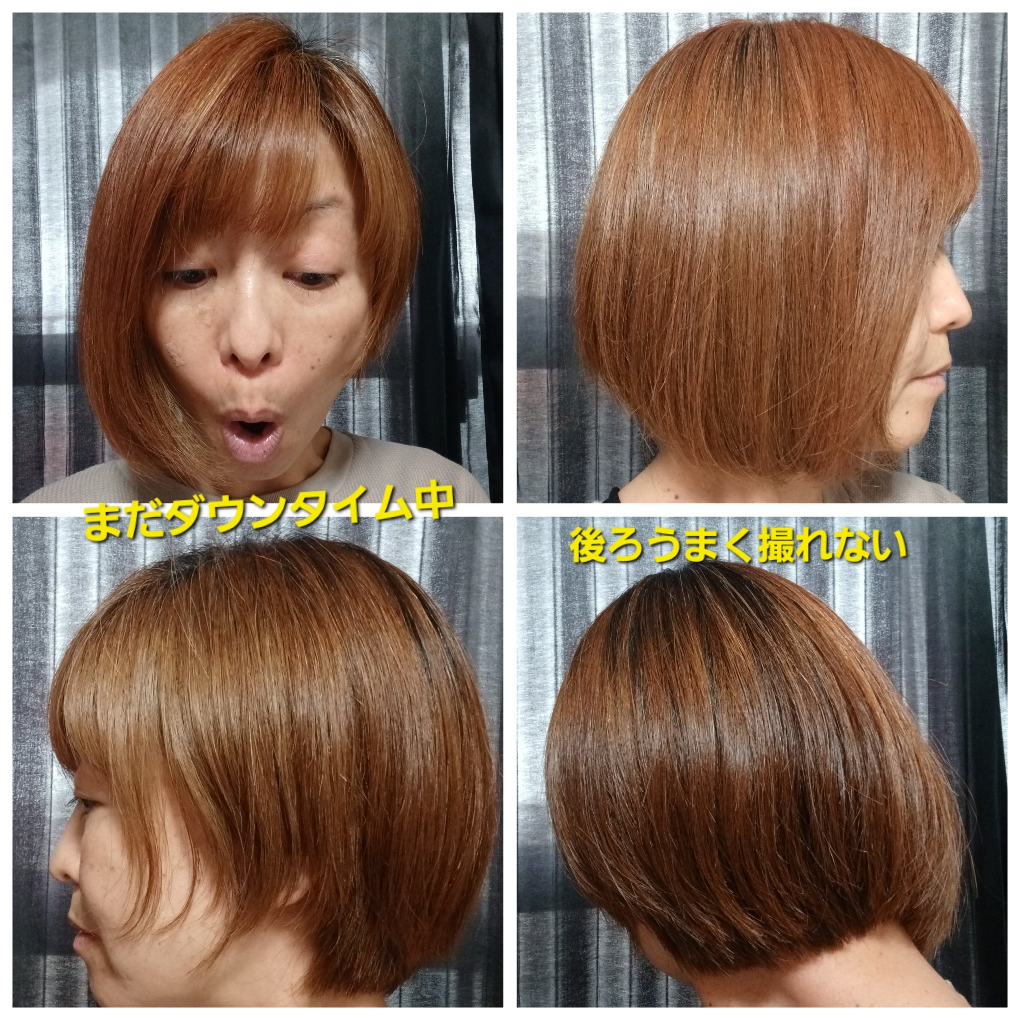 ディープモイスチャー プレミアムシールド ヘア オイル/LUNG TA/ヘアオイルを使ったクチコミ（2枚目）