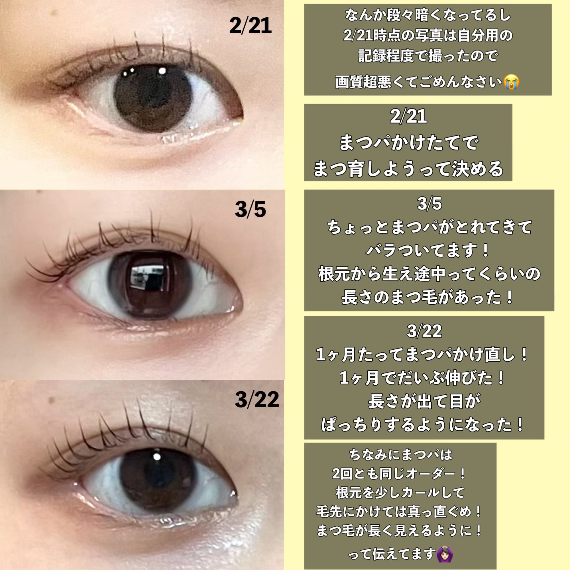 アイラッシュセラム プレミアムEX/ヒロインメイク/まつげ美容液を使ったクチコミ（2枚目）