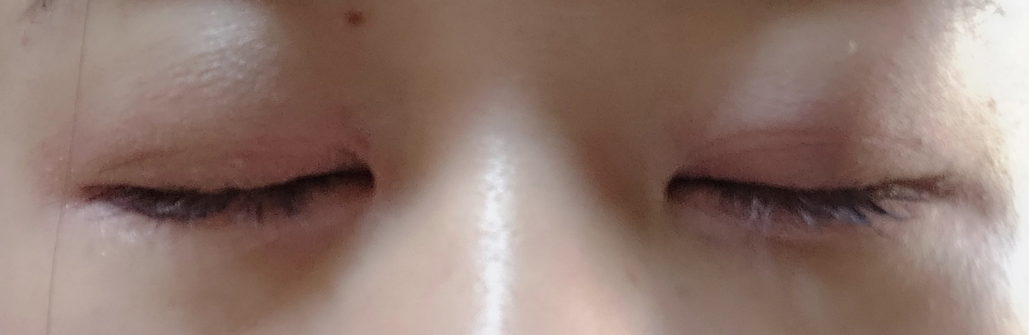 【旧】ディオールショウ サンク クルール （スプリング コレクション 2024 限定品）/Dior/アイシャドウを使ったクチコミ（2枚目）