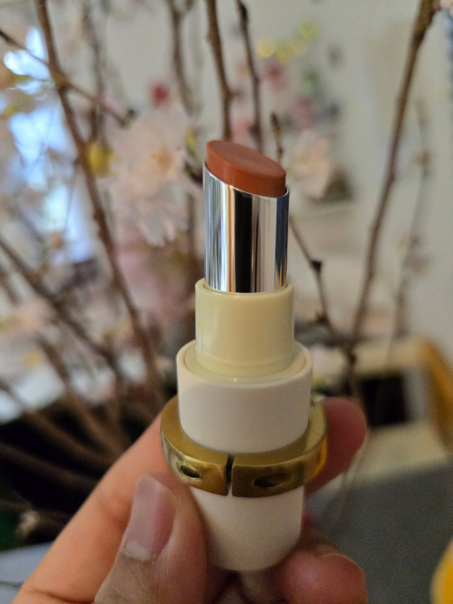 ザ リップ ネオ アニマ #ウラハラ ベージュ/アーレス/口紅を使ったクチコミ（2枚目）