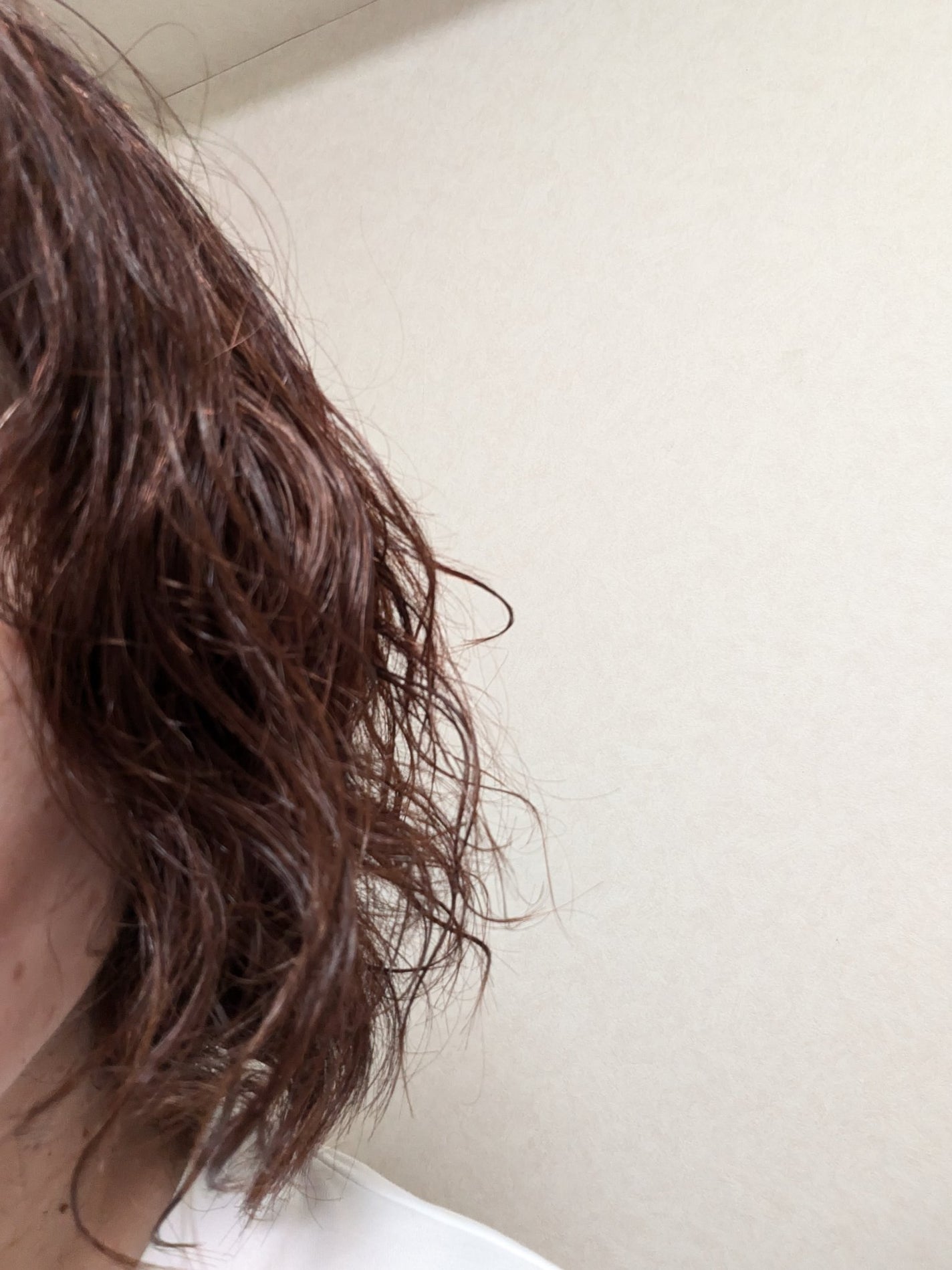 プレミアムスリーク ニュアンスアレンジ トリートメント(パーマヘア用)/スティーブンノル ニューヨーク/アウトバストリートメントを使ったクチコミ(2枚目)