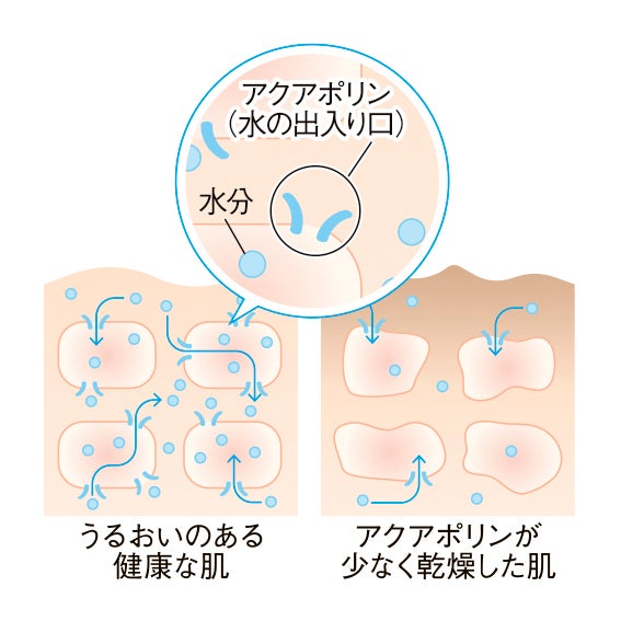 サボリーノの「目ざまシート」からベタつく季節にも爽やかな「雨上がりのアジサイの香り」が登場!の画像