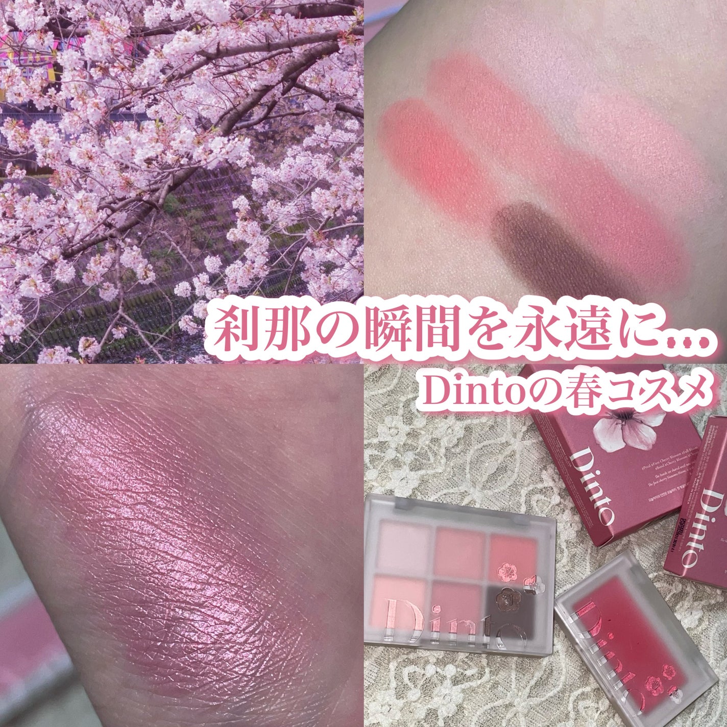 ブラーフィニシュシャドウパレット/Dinto/アイシャドウパレットを使ったクチコミ(1枚目)