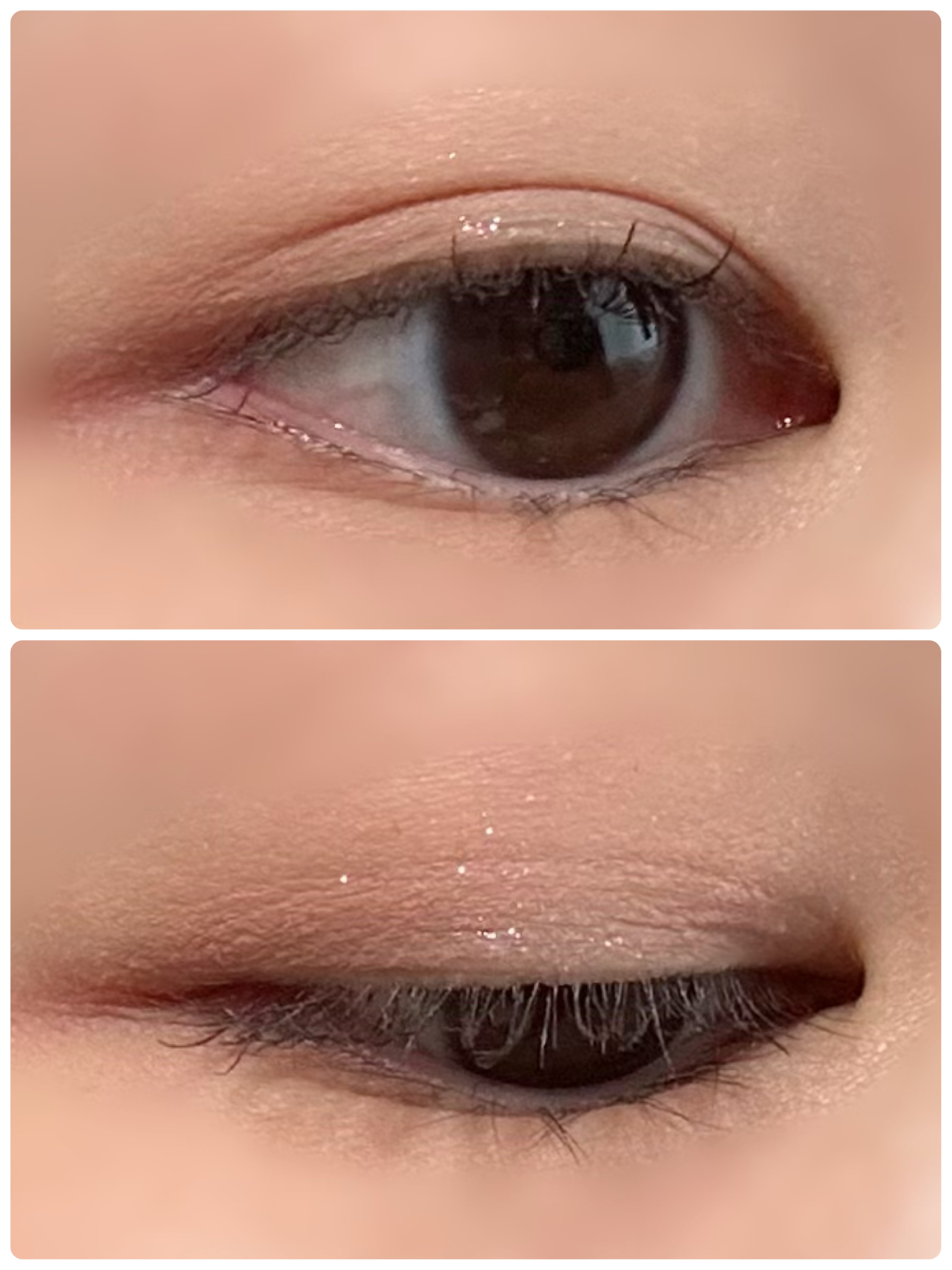 レディートゥーウェアアイパレット/BBIA/アイシャドウパレットを使ったクチコミ（2枚目）