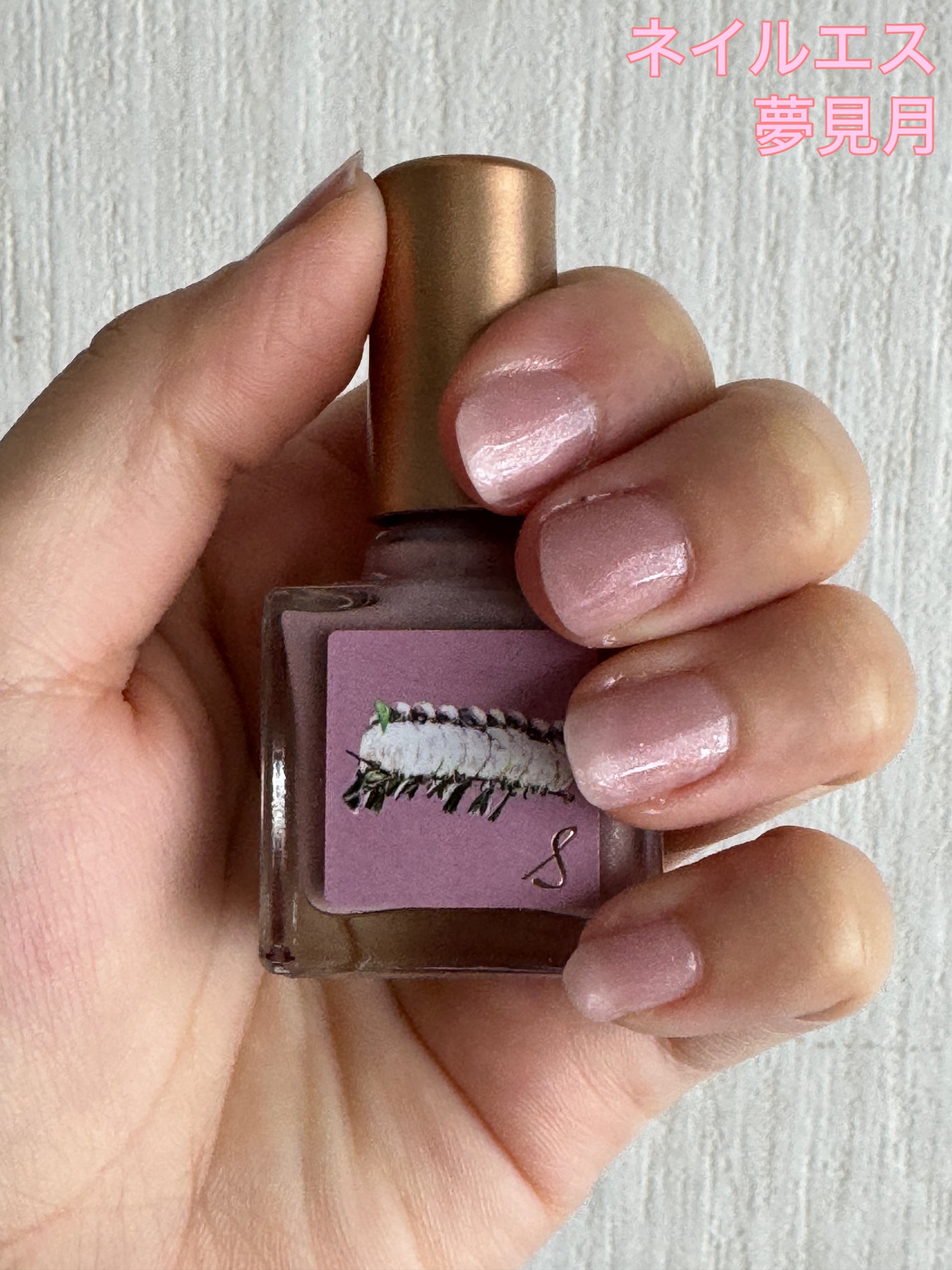 ネイルエス/ nail S(ネイルエス) /マニキュアを使ったクチコミ(1枚目)