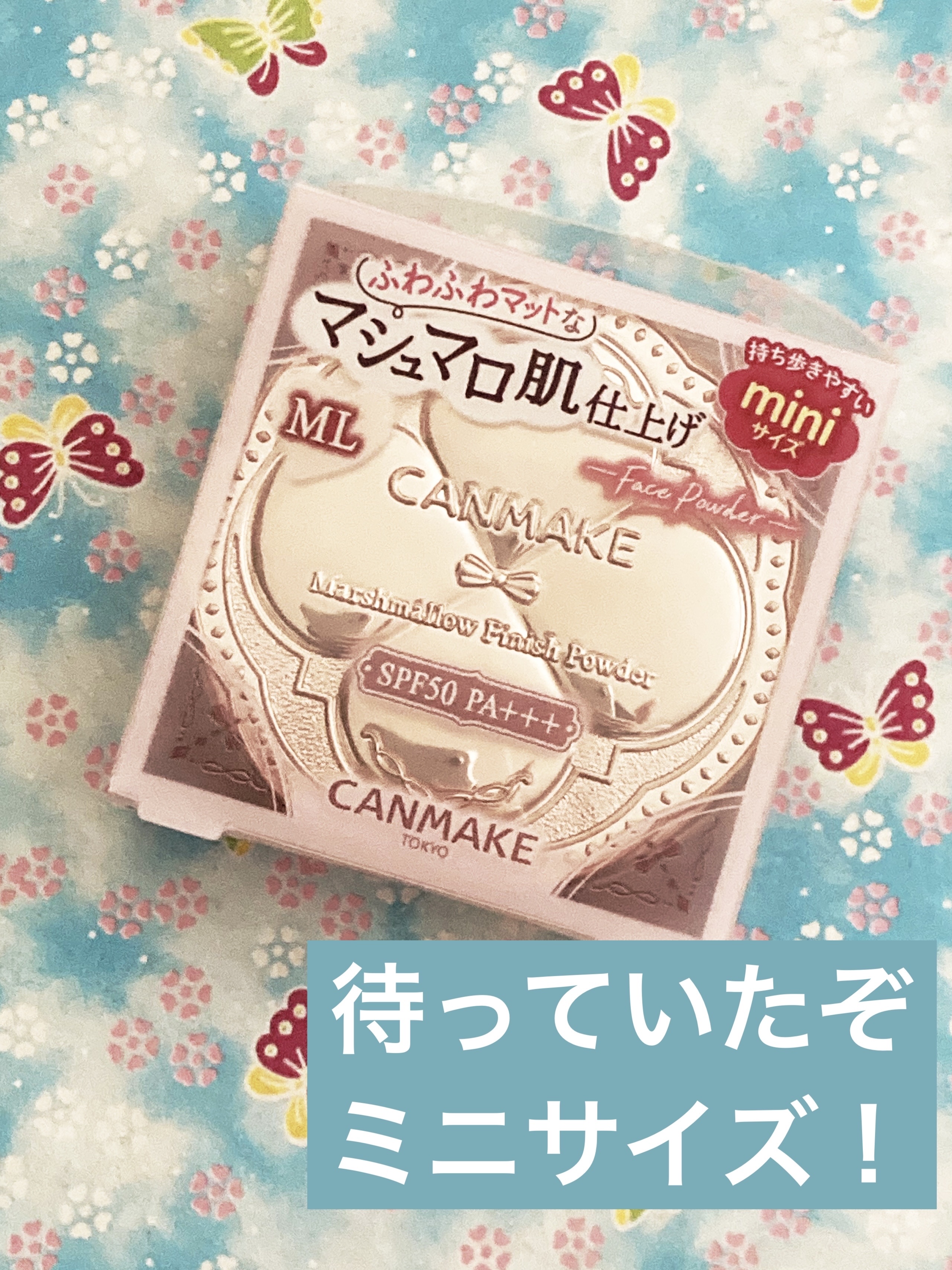 パウダリィファンデーション ex/パラドゥ/パウダーファンデーションを使ったクチコミ（1枚目）