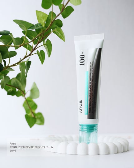PDRNヒアルロン酸100 モイスチャライジングクリーム/Anua/フェイスクリームを使ったクチコミ(6枚目)