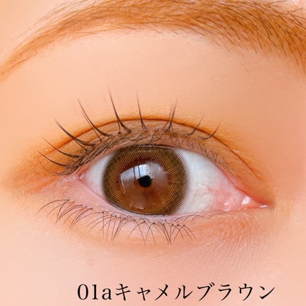 &. Wチャーム アイシャドウマットカラーマルチパレット/DAISO/アイシャドウパレットを使ったクチコミ(5枚目)